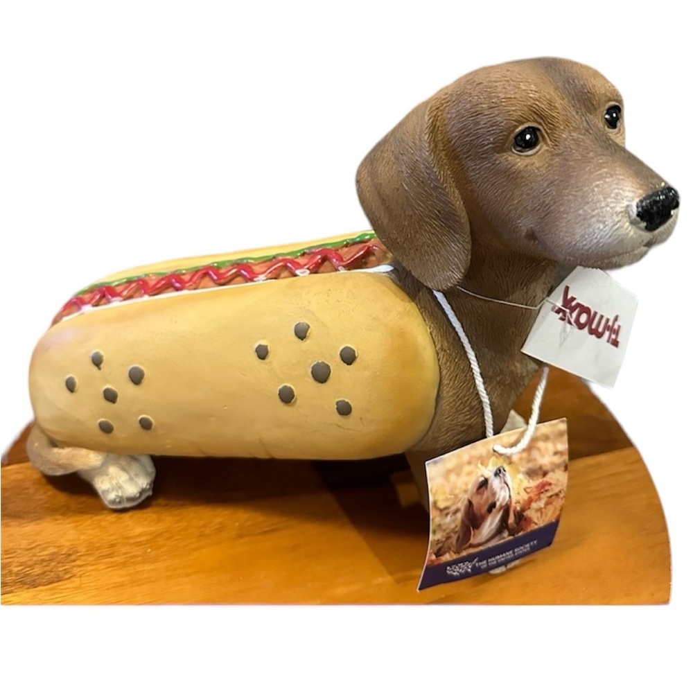 Humane society Halloween weiner dog in a hot dog costume dachshund new 2024